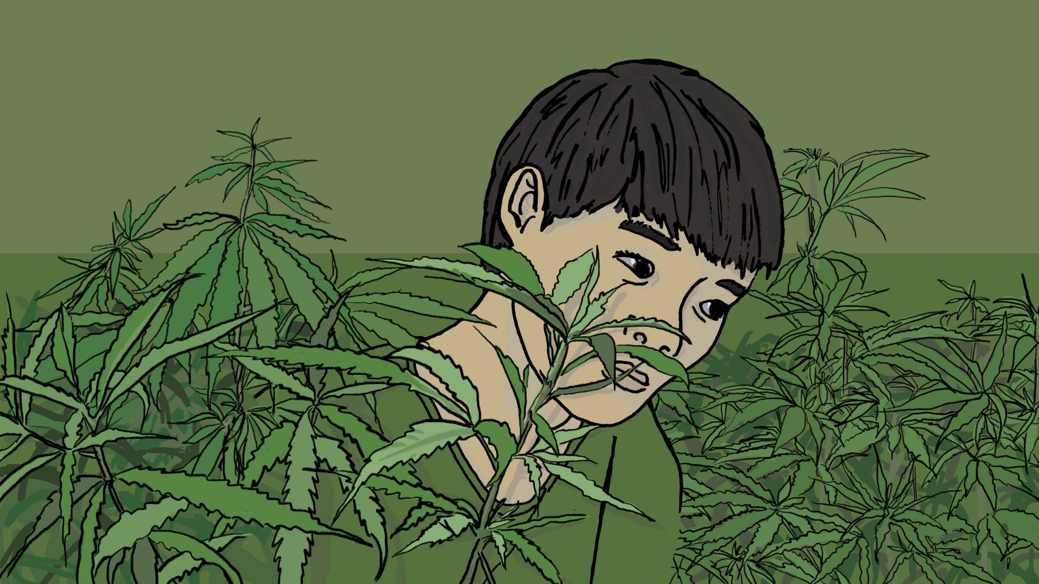 Vietnamese boy in cannabis farm